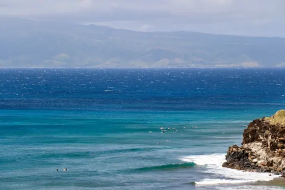 카좀비 카지노 지원